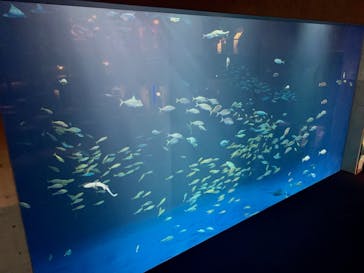 四国水族館に投稿された画像（2021/8/13）