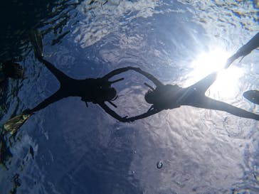 武藤潜水に投稿された画像（2021/8/13）