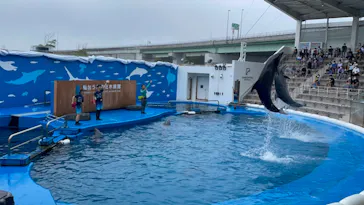 仙台うみの杜水族館に投稿された画像（2021/8/13）