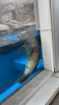 仙台うみの杜水族館に投稿された画像（2021/8/13）
