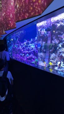 マクセル アクアパーク品川に投稿された画像（2021/8/13）