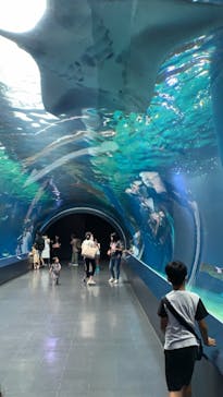 マクセル アクアパーク品川に投稿された画像（2021/8/13）