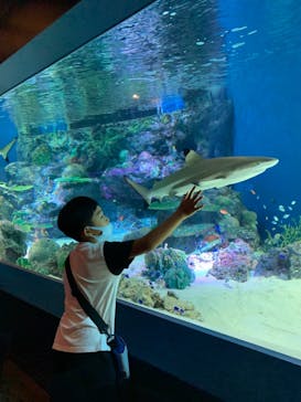 マクセル アクアパーク品川に投稿された画像（2021/8/13）