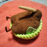 天王寺動物園に投稿された画像（2021/8/13）