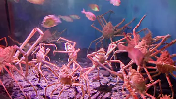 横浜・八景島シーパラダイスに投稿された画像（2021/8/13）