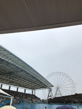 名古屋港水族館に投稿された画像（2021/8/13）