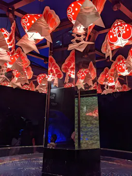 すみだ水族館に投稿された画像（2021/8/13）