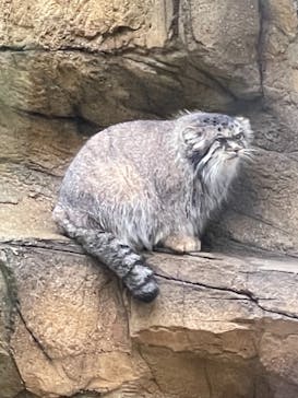 那須どうぶつ王国に投稿された画像（2021/8/13）