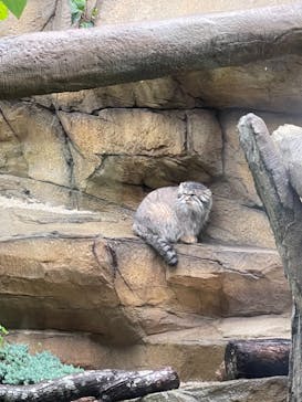 那須どうぶつ王国に投稿された画像（2021/8/13）