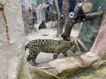 那須どうぶつ王国に投稿された画像（2021/8/13）