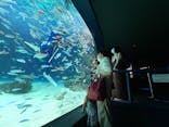 サンシャイン水族館に投稿された画像（2021/8/13）