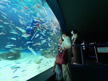 サンシャイン水族館に投稿された画像（2021/8/13）