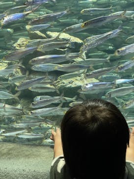 サンシャイン水族館に投稿された画像（2021/8/13）