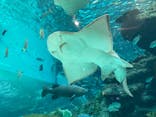 名古屋港水族館に投稿された画像（2021/8/13）