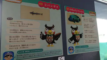 横浜・八景島シーパラダイスに投稿された画像（2021/8/13）