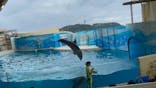新江ノ島水族館に投稿された画像（2021/8/13）
