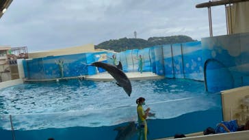 新江ノ島水族館に投稿された画像（2021/8/13）