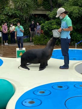 サンシャイン水族館に投稿された画像（2021/8/13）
