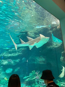 名古屋港水族館に投稿された画像（2021/8/13）
