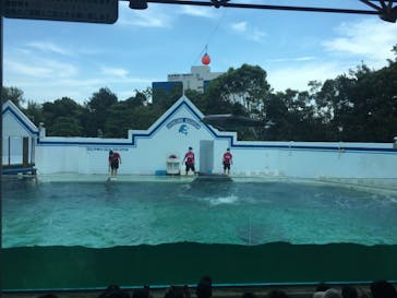 しながわ水族館に投稿された画像（2021/8/13）