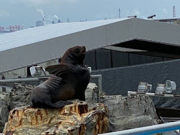 大分マリーンパレス水族館 「うみたまご」に投稿された画像（2021/8/13）