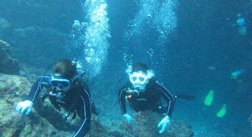 青の洞窟専門店　沖縄ダイビングショップ和に投稿された画像（2021/8/13）