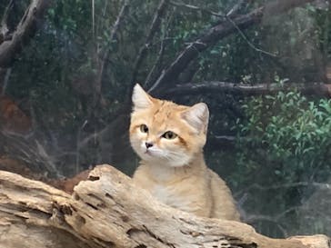 神戸どうぶつ王国に投稿された画像（2021/8/13）