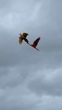 神戸どうぶつ王国に投稿された画像（2021/8/13）