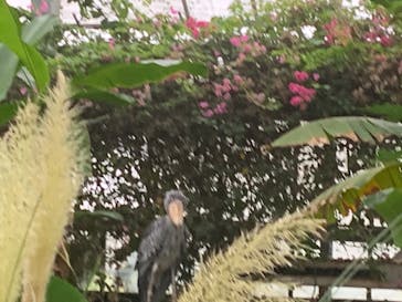 神戸どうぶつ王国に投稿された画像（2021/8/13）