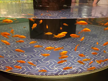 すみだ水族館に投稿された画像（2021/8/13）