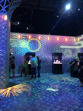 マクセル アクアパーク品川に投稿された画像（2021/8/13）