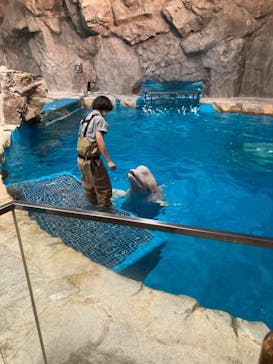 名古屋港水族館に投稿された画像（2021/8/13）