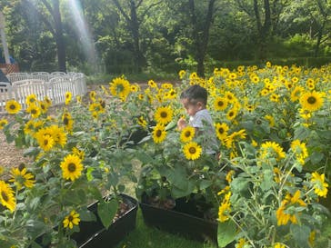 よみうりランド 遊園地に投稿された画像（2021/8/13）