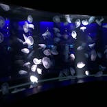 京都水族館に投稿された画像（2021/8/13）