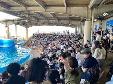 新江ノ島水族館に投稿された画像（2021/8/13）