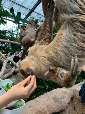 神戸どうぶつ王国に投稿された画像（2021/8/13）