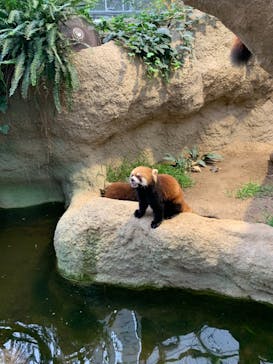 神戸どうぶつ王国に投稿された画像（2021/8/13）