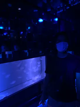 すみだ水族館に投稿された画像（2021/8/13）
