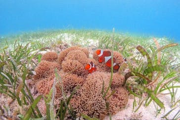 アクアドロップに投稿された画像（2021/8/13）