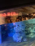 すみだ水族館に投稿された画像（2021/8/13）