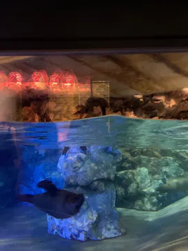 すみだ水族館に投稿された画像（2021/8/13）