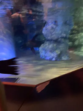 すみだ水族館に投稿された画像（2021/8/13）