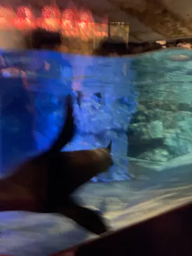 すみだ水族館に投稿された画像（2021/8/13）