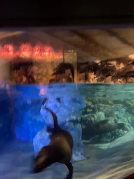 すみだ水族館に投稿された画像（2021/8/13）