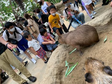 神戸どうぶつ王国に投稿された画像（2021/8/13）