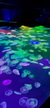 すみだ水族館に投稿された画像（2021/8/13）