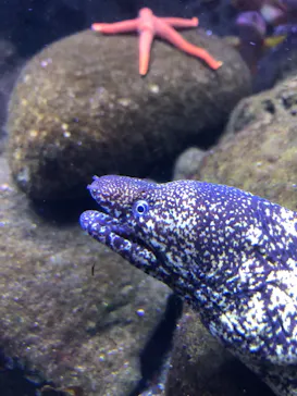 横浜・八景島シーパラダイスに投稿された画像（2021/8/13）