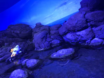 横浜・八景島シーパラダイスに投稿された画像（2021/8/13）