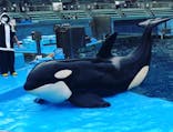 名古屋港水族館に投稿された画像（2021/8/13）
