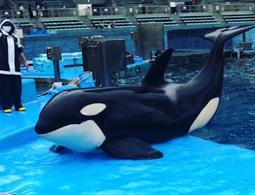 名古屋港水族館に投稿された画像（2021/8/13）